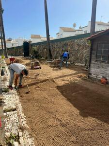 Proservice - Gallery - Landscaping / gardening