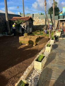 Proservice - Gallery - Landscaping / gardening