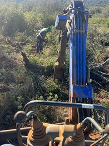 Proservice - Gallery - Landscaping / gardening