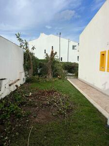 Proservice - Gallery - Landscaping / gardening