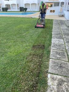 Proservice - Gallery - Landscaping / gardening