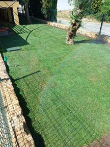 Proservice - Gallery - Landscaping / gardening