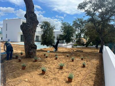 Proservice - Gallery - Landscaping / gardening
