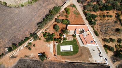 Proservice - Gallery - Landscaping / gardening